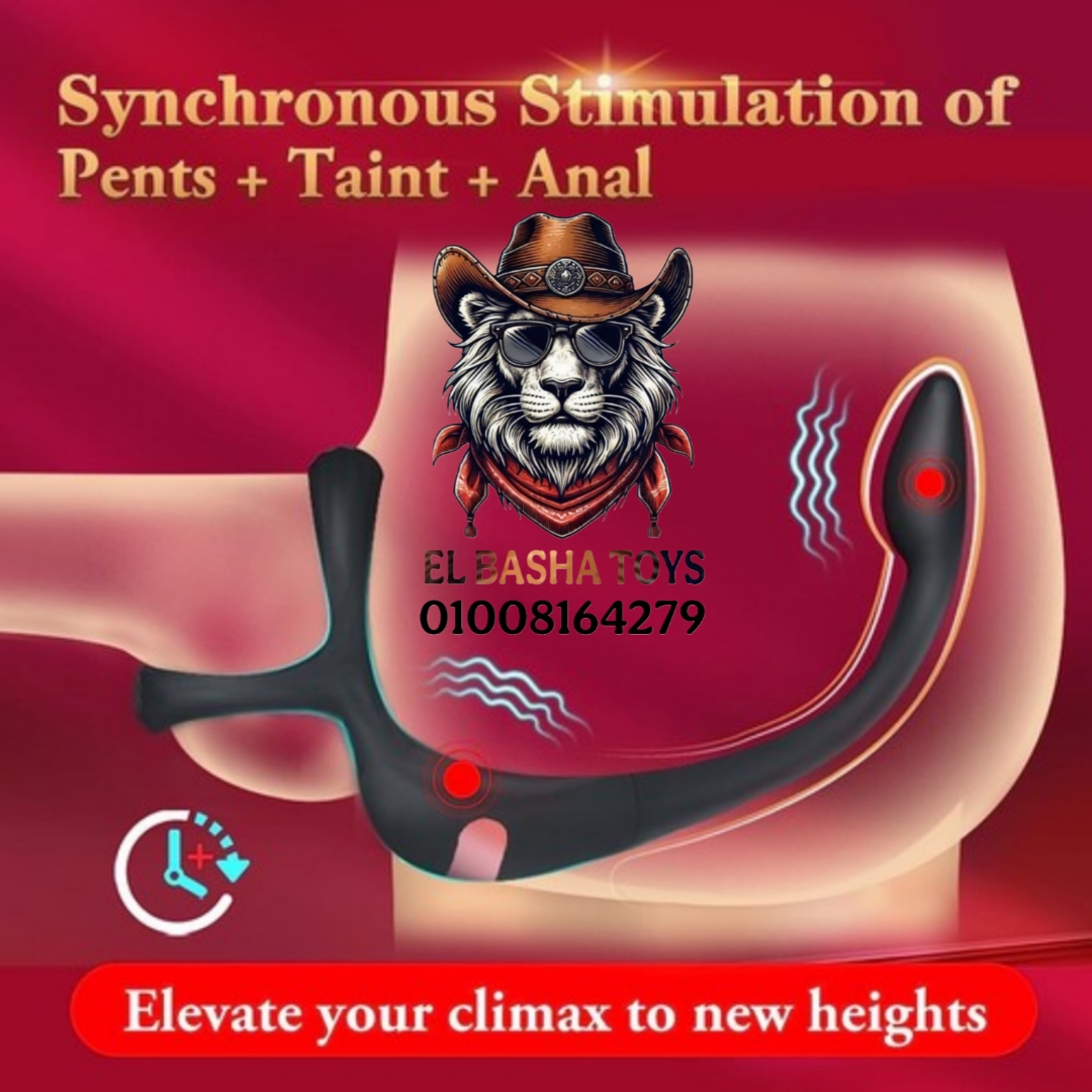 بروستاتا مساج تحكم ابلكيشن وريمود من اي مكان في العالم - الصورة 6